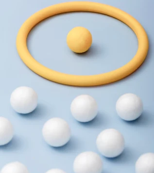 Fraud prevention solutions